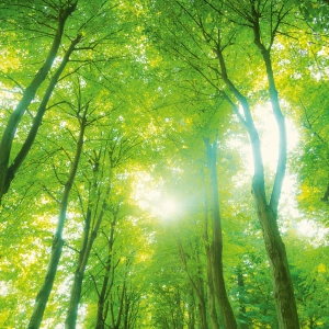 Połączenie kominka z technologią pieca grzewczego sposobem na bezpieczeństwo energetyczne